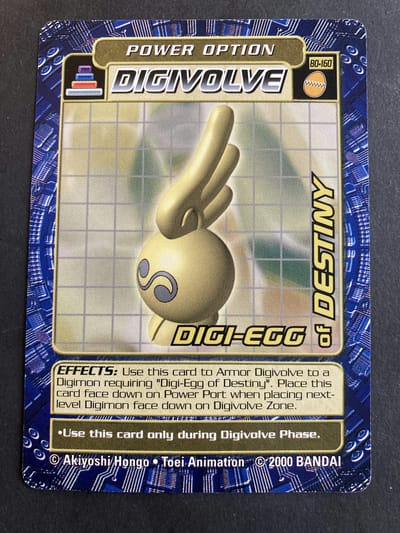 DIGI-EGG of DESTINY