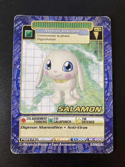 Salamon