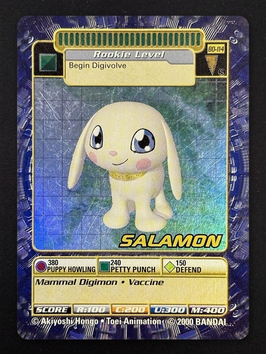 Salamon