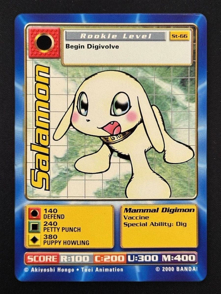 Salamon